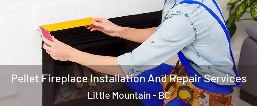  Pellet Fireplace Installation And Repair Services Little Mountain - BC