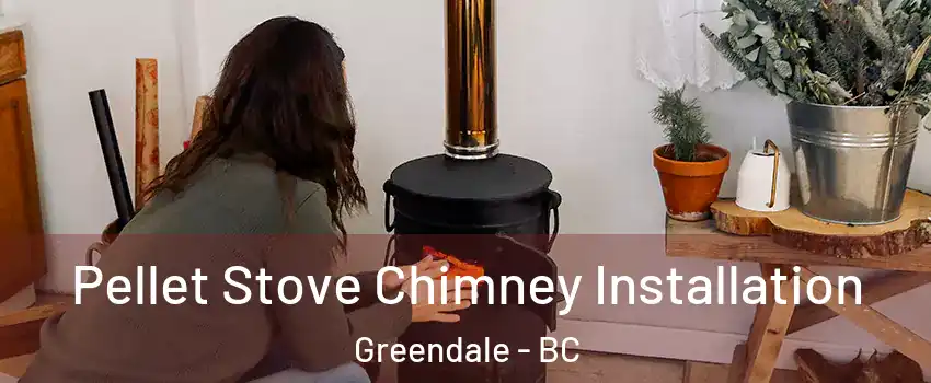  Pellet Stove Chimney Installation Greendale - BC