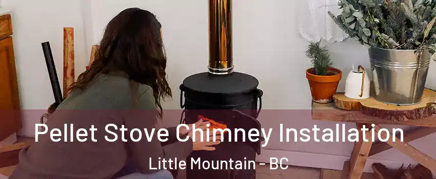 Pellet Stove Chimney Installation Little Mountain - BC