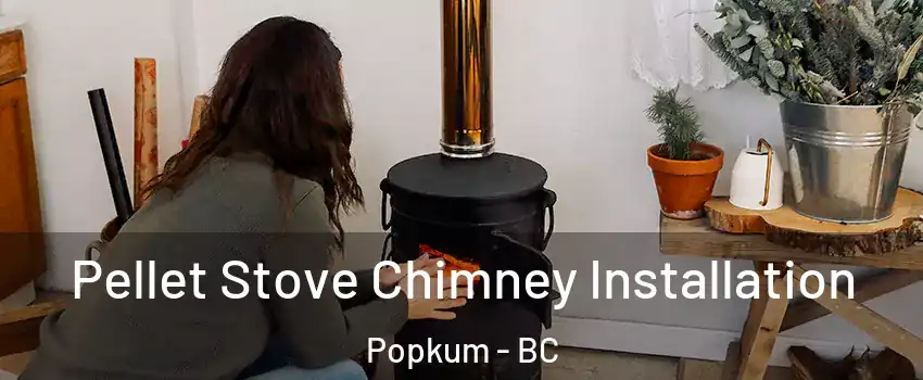 Pellet Stove Chimney Installation Popkum - BC