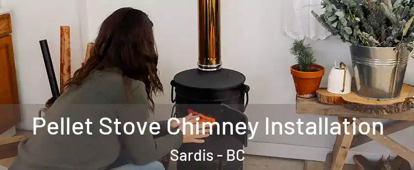 Pellet Stove Chimney Installation Sardis - BC