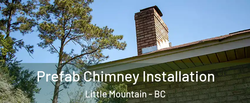 Prefab Chimney Installation Little Mountain - BC