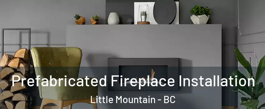 Prefabricated Fireplace Installation Little Mountain - BC