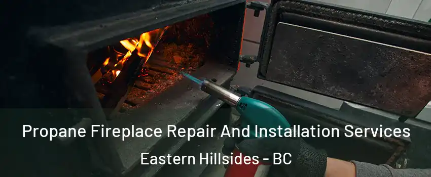 Propane Fireplace Repair And Installation Services Eastern Hillsides - BC