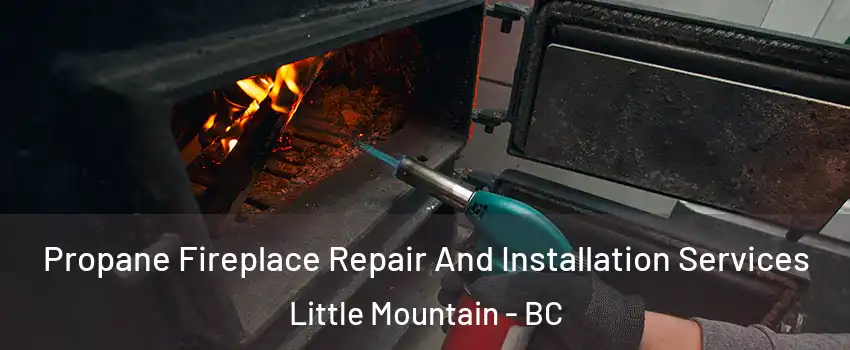 Propane Fireplace Repair And Installation Services Little Mountain - BC