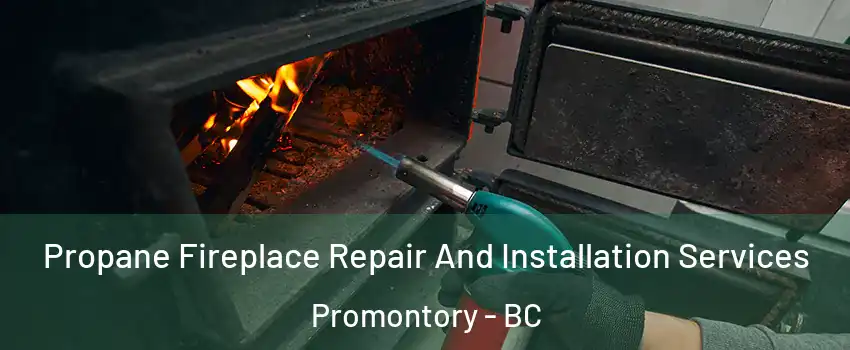 Propane Fireplace Repair And Installation Services Promontory - BC