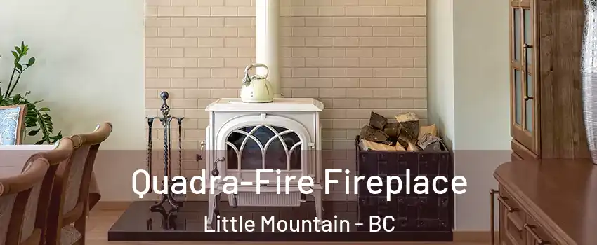  Quadra-Fire Fireplace Little Mountain - BC