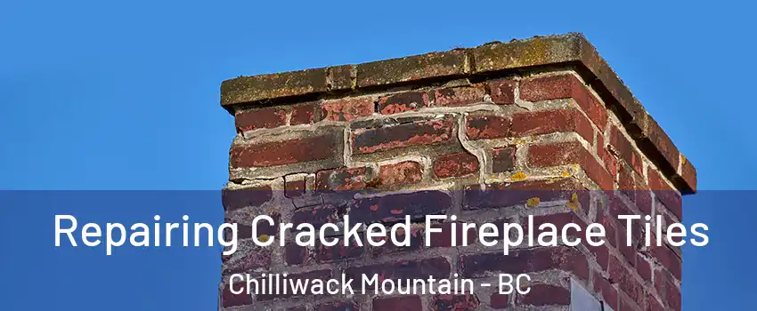 Repairing Cracked Fireplace Tiles Chilliwack Mountain - BC