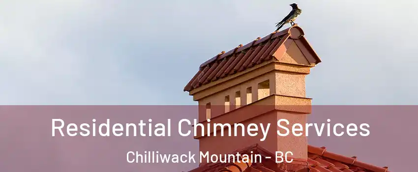 Residential Chimney Services Chilliwack Mountain - BC