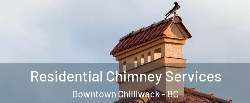 Residential Chimney Services Downtown Chilliwack - BC
