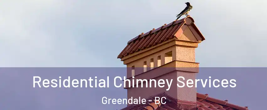 Residential Chimney Services Greendale - BC