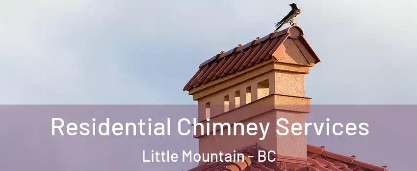 Residential Chimney Services Little Mountain - BC
