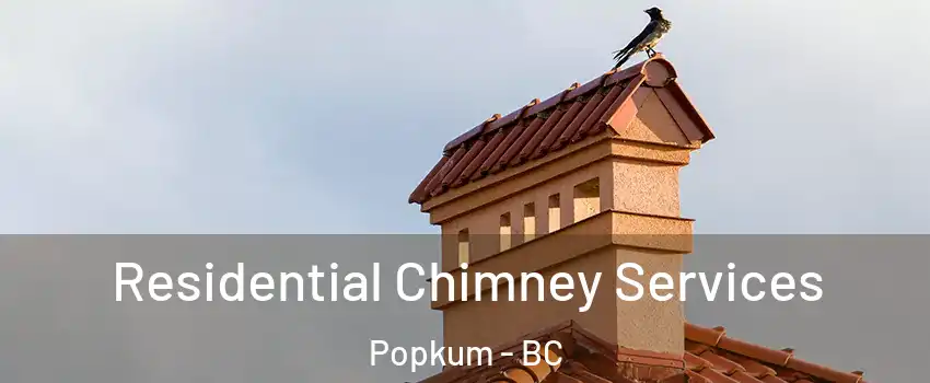 Residential Chimney Services Popkum - BC