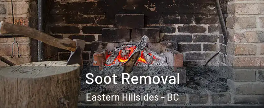 Soot Removal Eastern Hillsides - BC