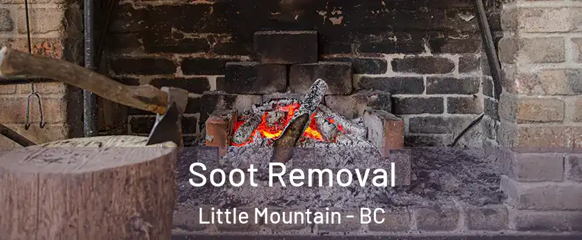 Soot Removal Little Mountain - BC