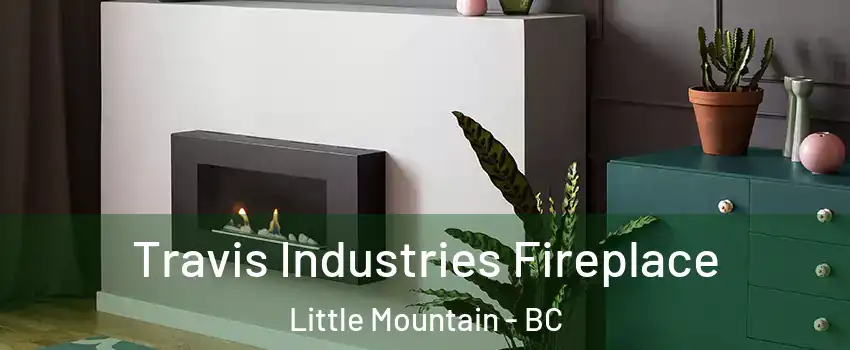 Travis Industries Fireplace Little Mountain - BC