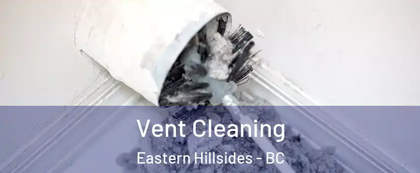  Vent Cleaning Eastern Hillsides - BC