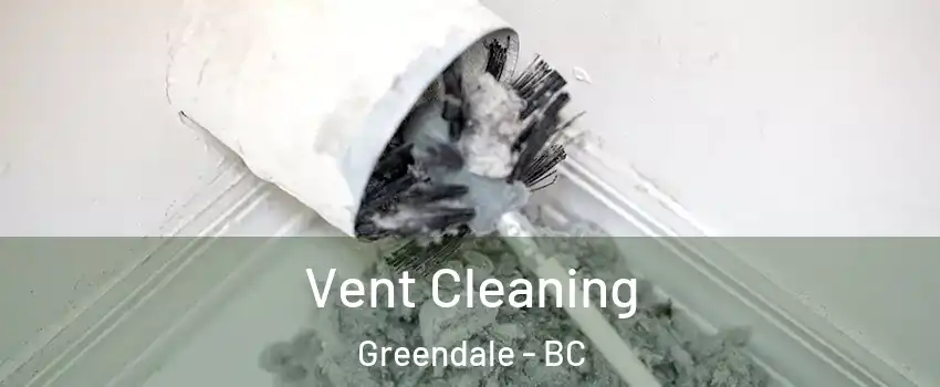 Vent Cleaning Greendale - BC