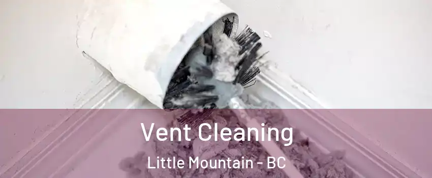 Vent Cleaning Little Mountain - BC