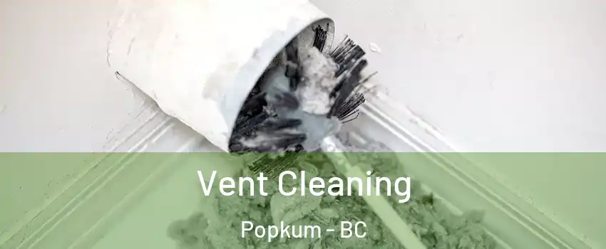 Vent Cleaning Popkum - BC