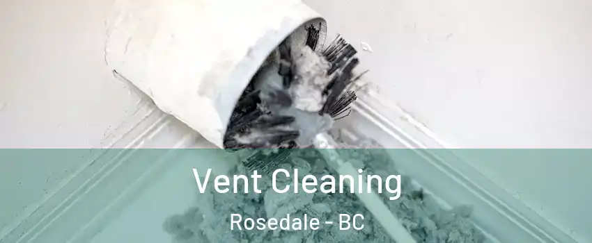 Vent Cleaning Rosedale - BC