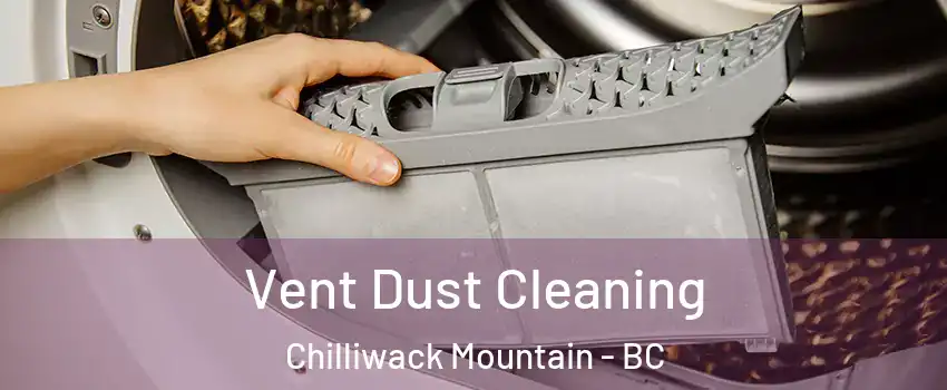 Vent Dust Cleaning Chilliwack Mountain - BC