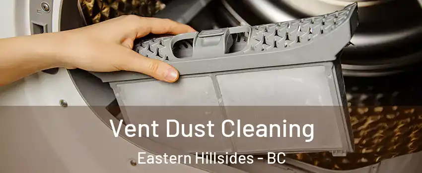 Vent Dust Cleaning Eastern Hillsides - BC