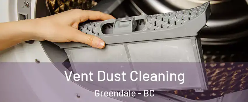 Vent Dust Cleaning Greendale - BC