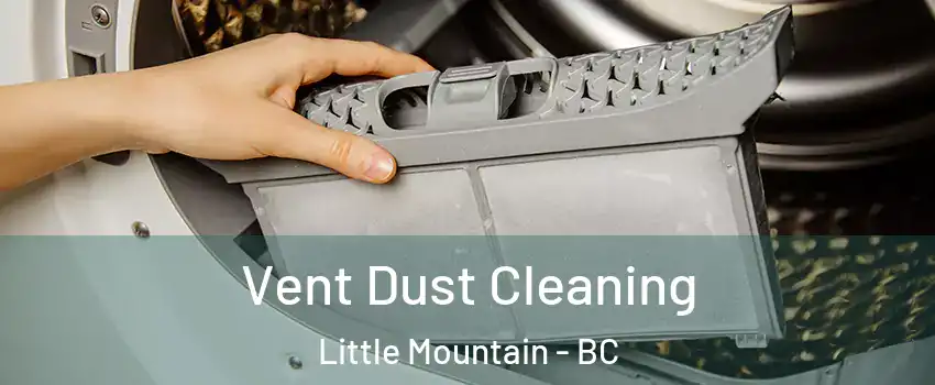 Vent Dust Cleaning Little Mountain - BC