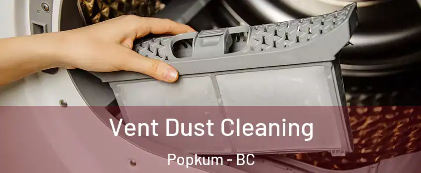 Vent Dust Cleaning Popkum - BC