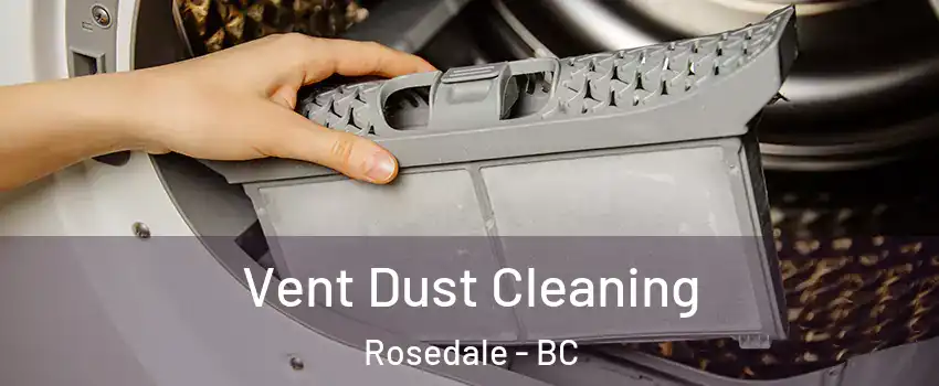 Vent Dust Cleaning Rosedale - BC