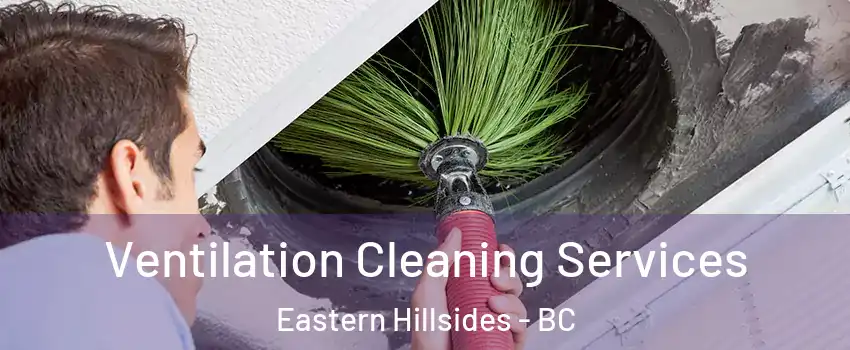 Ventilation Cleaning Services Eastern Hillsides - BC