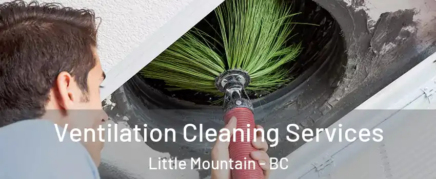  Ventilation Cleaning Services Little Mountain - BC
