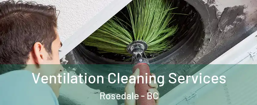  Ventilation Cleaning Services Rosedale - BC