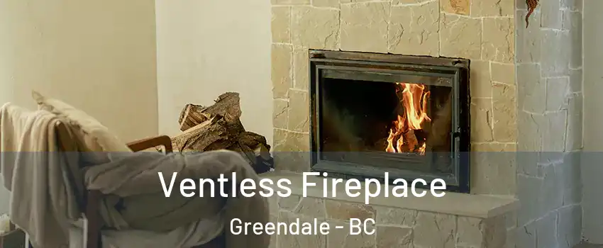 Ventless Fireplace Greendale - BC