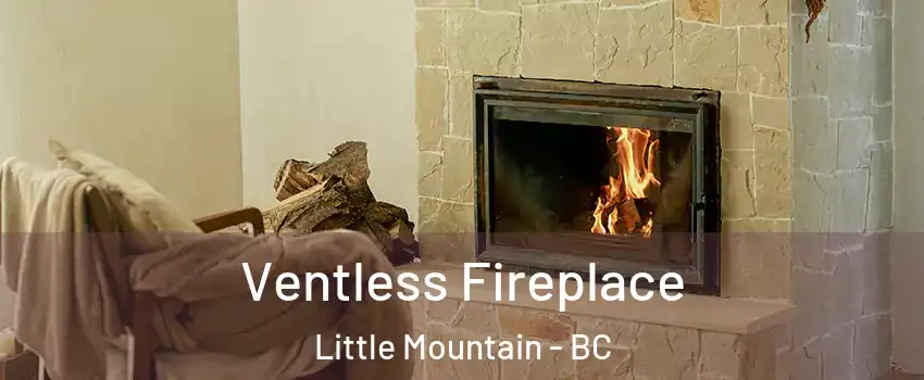 Ventless Fireplace Little Mountain - BC