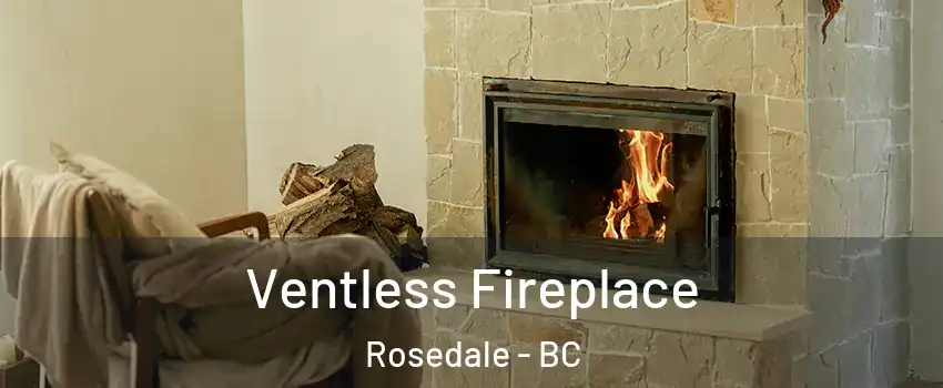 Ventless Fireplace Rosedale - BC