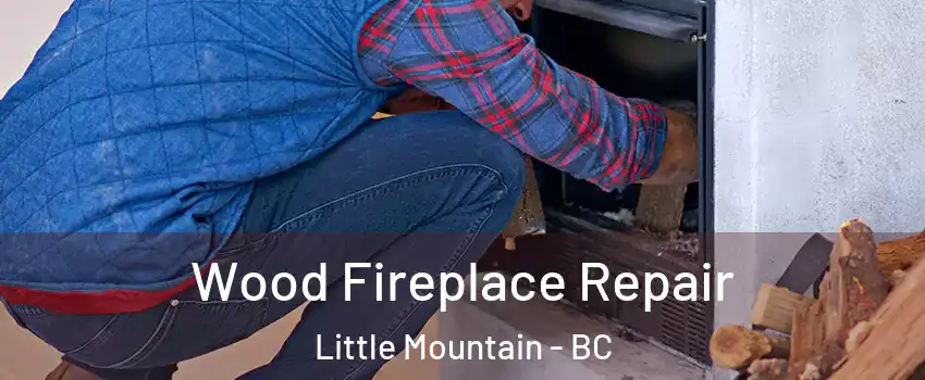 Wood Fireplace Repair Little Mountain - BC