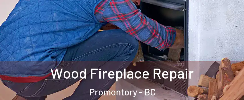 Wood Fireplace Repair Promontory - BC