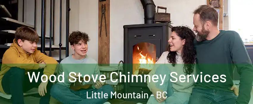 Wood Stove Chimney Services Little Mountain - BC