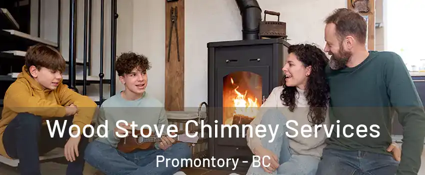 Wood Stove Chimney Services Promontory - BC