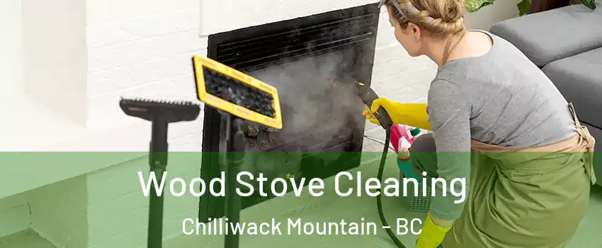 Wood Stove Cleaning Chilliwack Mountain - BC