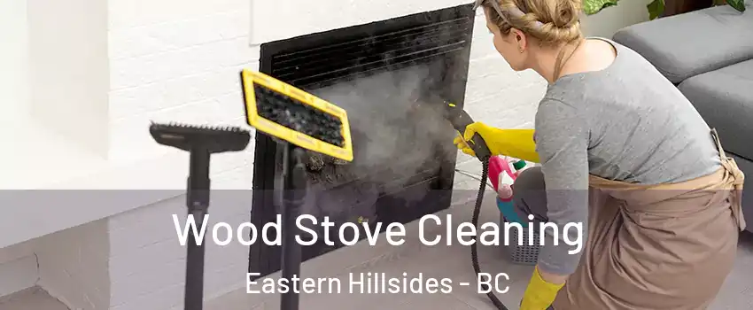  Wood Stove Cleaning Eastern Hillsides - BC