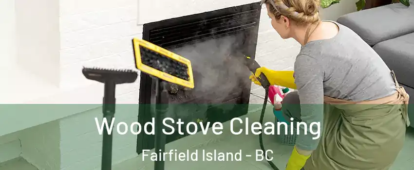 Wood Stove Cleaning Fairfield Island - BC