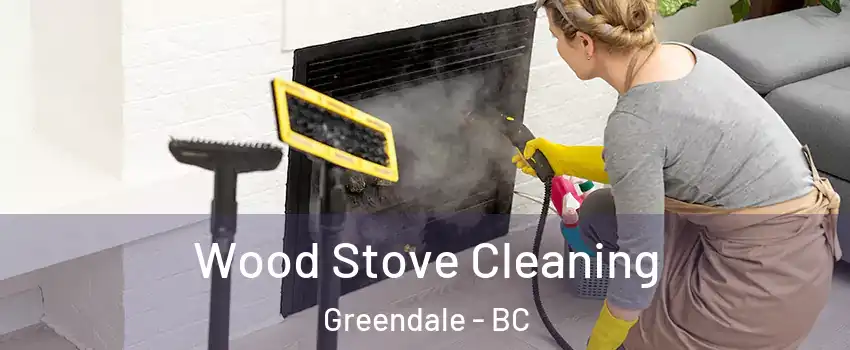 Wood Stove Cleaning Greendale - BC