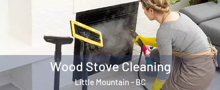 Wood Stove Cleaning Little Mountain - BC