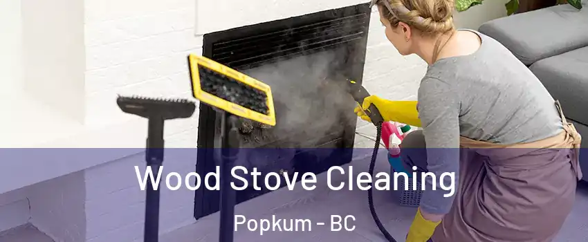 Wood Stove Cleaning Popkum - BC