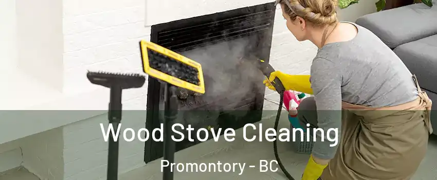 Wood Stove Cleaning Promontory - BC