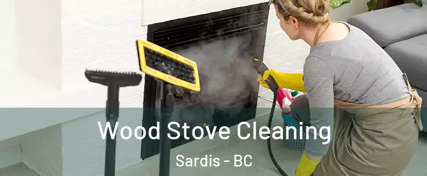 Wood Stove Cleaning Sardis - BC