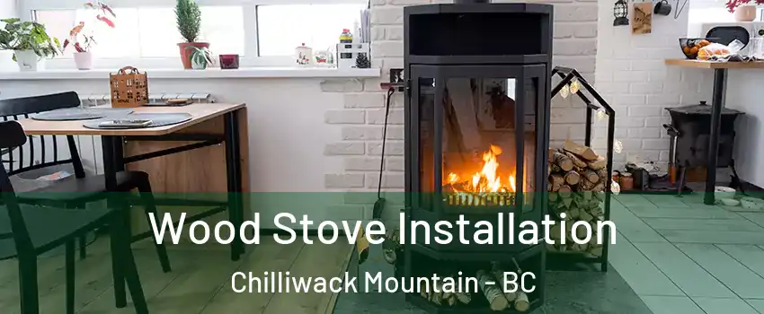 Wood Stove Installation Chilliwack Mountain - BC